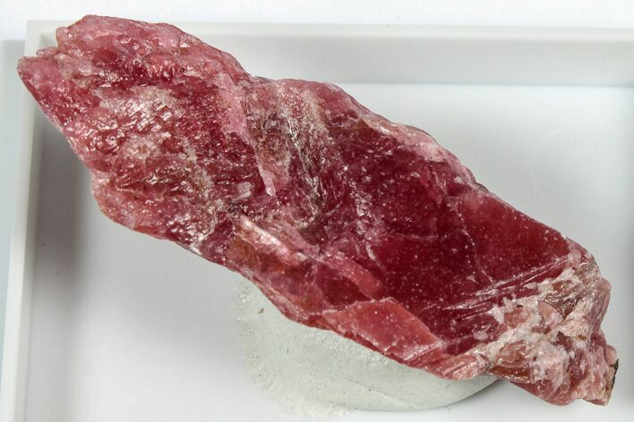 Striking Cherry-Red Rhodonite Specimen - Brazil #344966